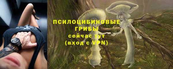 экстази Майский