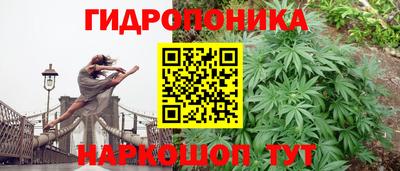 ешки Абинск