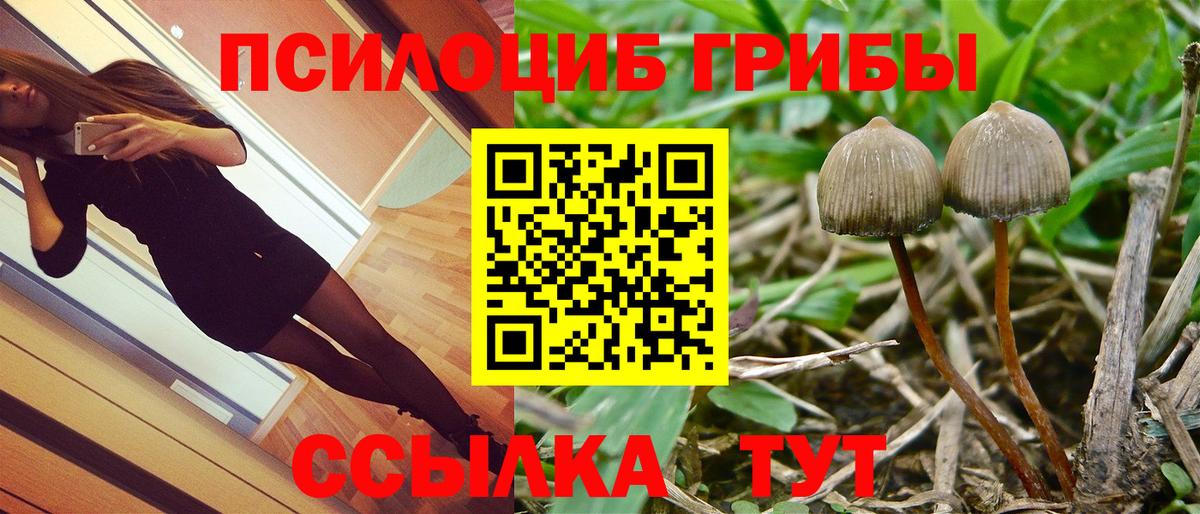 Псилоцибиновые грибы мицелий  Вход с VPN  Новотроицк 
