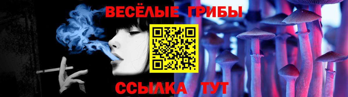 Псилоцибиновые грибы мицелий Новотроицк